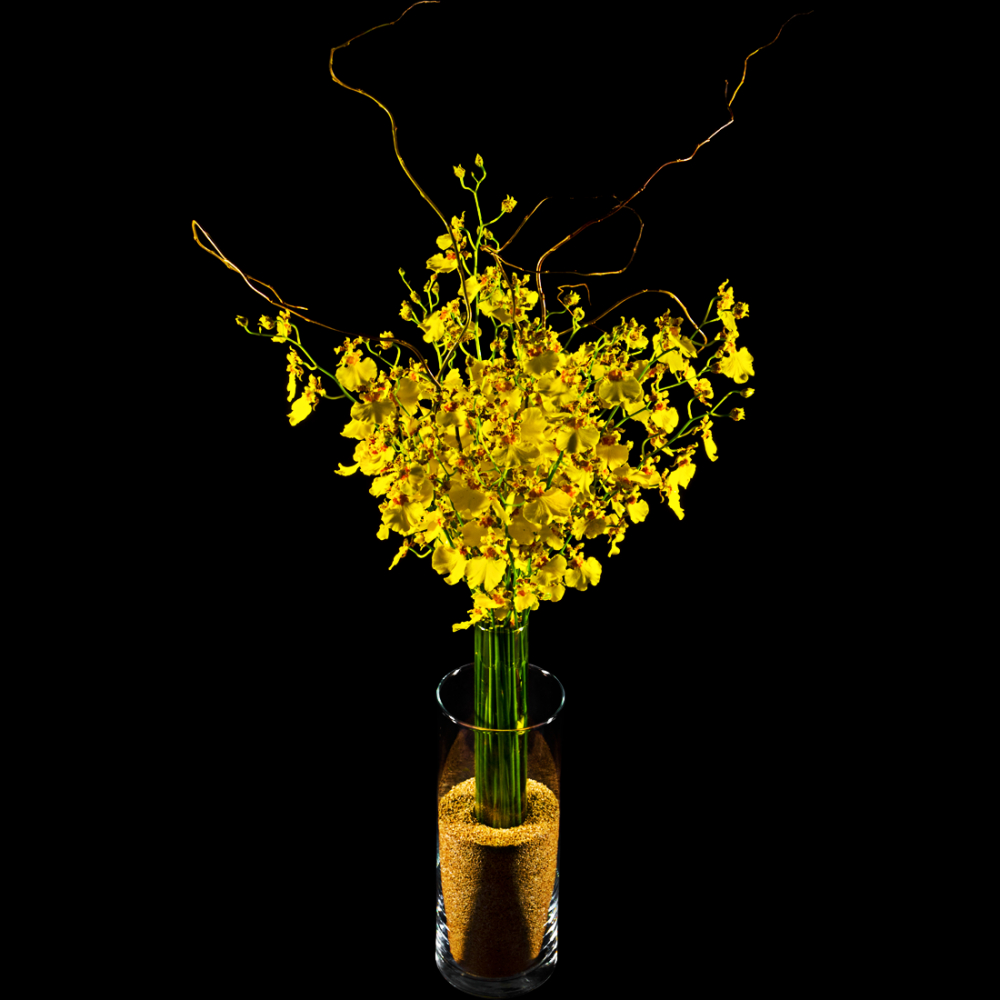 BUQUÊ DE CHUVA DE OURO EM CILINDRO FORRADO